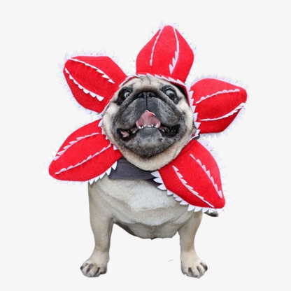 Demogorgon Pet Costume