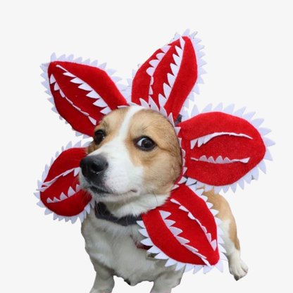 Demogorgon Pet Costume